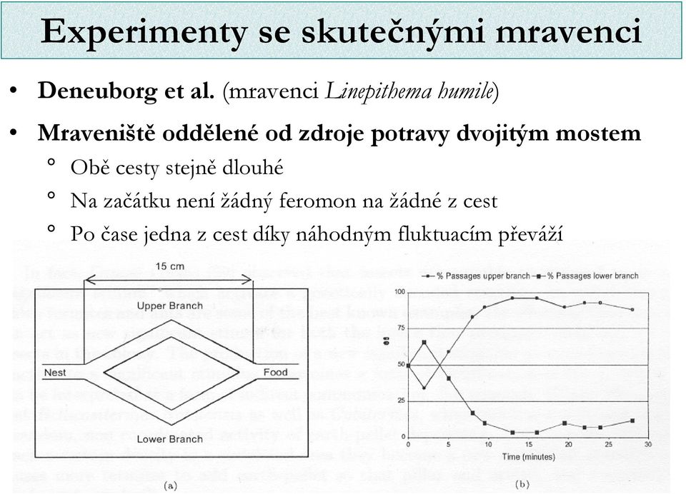 potravy dvojitým mostem Obě cesty stejně dlouhé Na začátku není