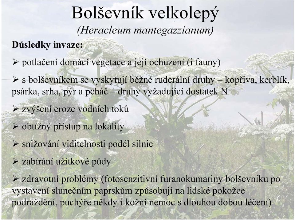 obtížný přístup na lokality snižování viditelnosti podél silnic zabírání užitkové půdy zdravotní problémy (fotosenzitivní