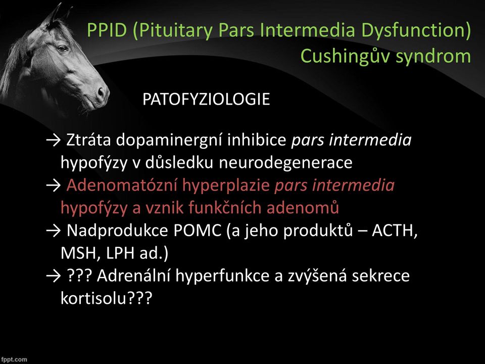 Adenomatózní hyperplazie pars intermedia hypofýzy a vznik funkčních adenomů