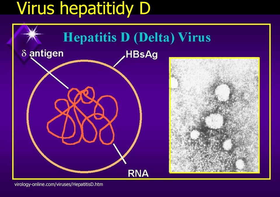 virology-online.