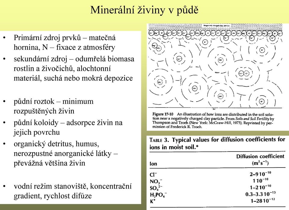 minimum rozpuštěných živin půdní koloidy adsorpce živin na jejich povrchu organický detritus, humus,