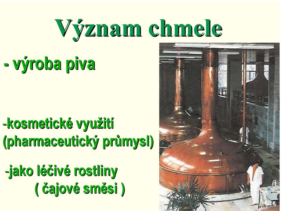 (pharmaceutický průmysl)