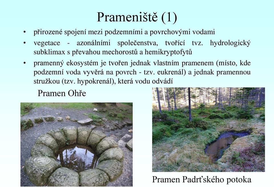 hydrologický subklimax s převahou mechorostů a hemikryptofytů pramenný ekosystém je tvořen jednak