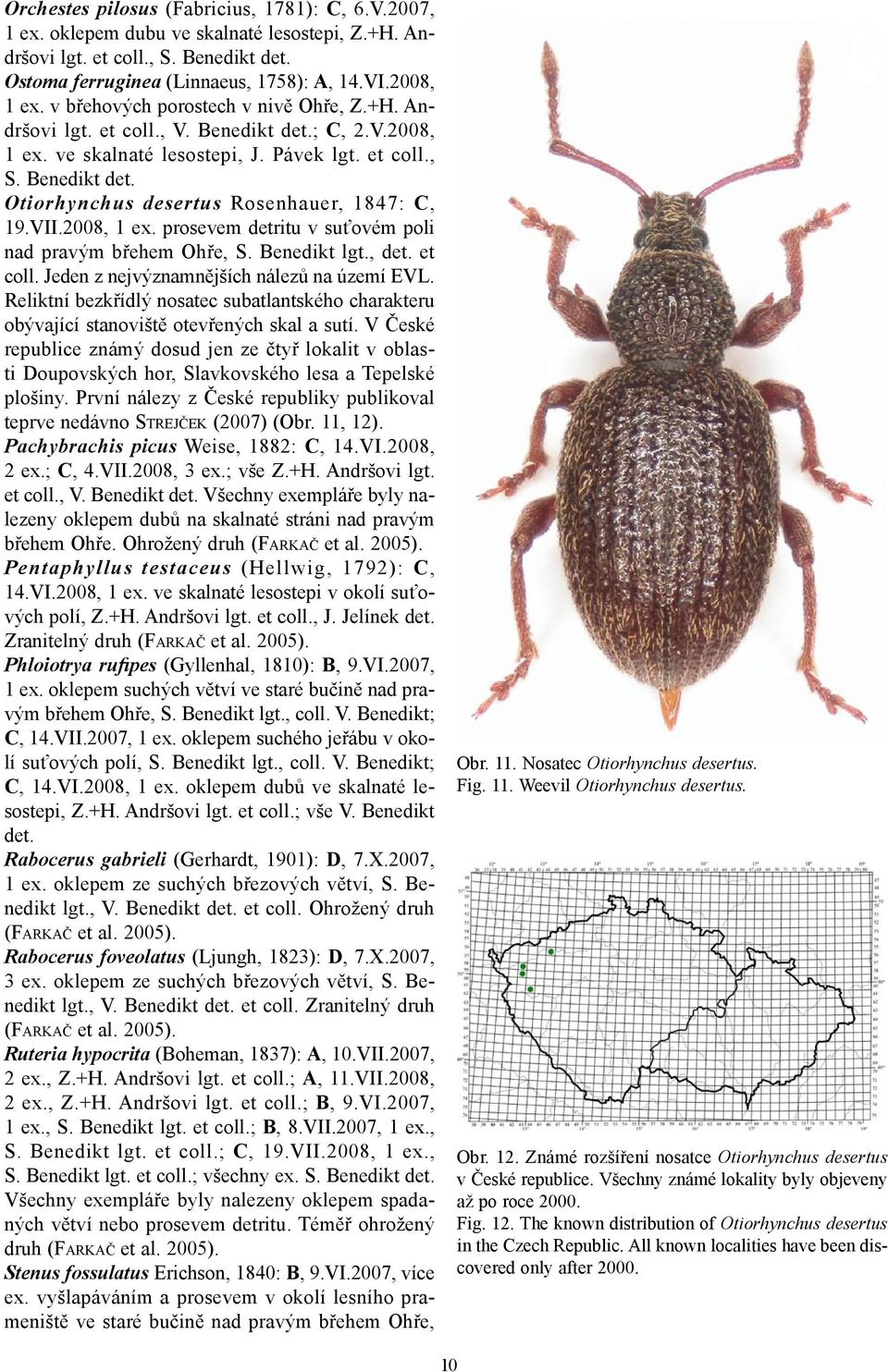 VII.2008, 1 ex. prosevem detritu v suťovém poli nad pravým břehem Ohře, S. Benedikt lgt., det. et coll. Jeden z nejvýznamnějších nálezů na území EVL.