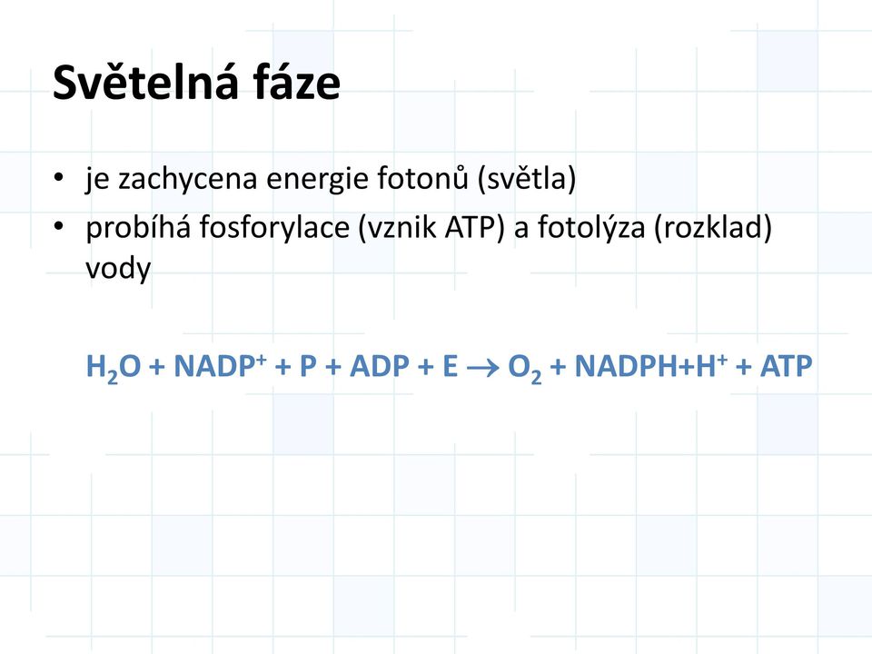 (vznik ATP) a fotolýza (rozklad) vody H