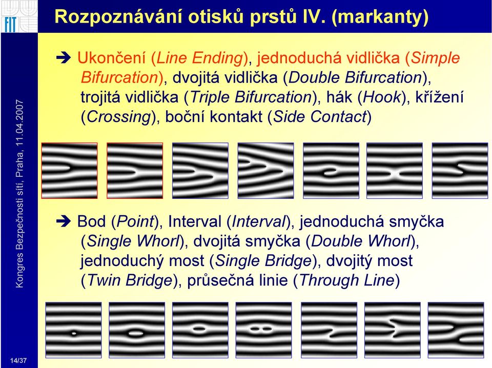 Bifurcation), trojitá vidlička (Triple Bifurcation), hák (Hook), křížení (Crossing), boční kontakt (Side