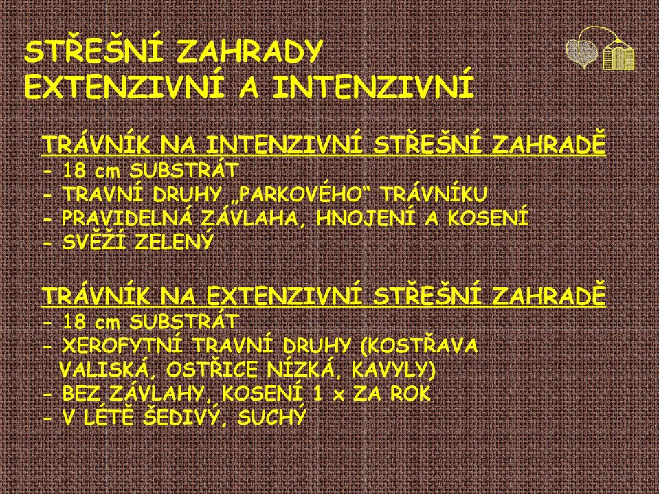 ZELENÝ TRÁVNÍK NA EXTENZIVNÍ STŘEŠNÍ ZAHRADĚ - 18 cm SUBSTRÁT - XEROFYTNÍ TRAVNÍ DRUHY