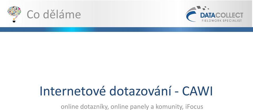 online dotazníky,