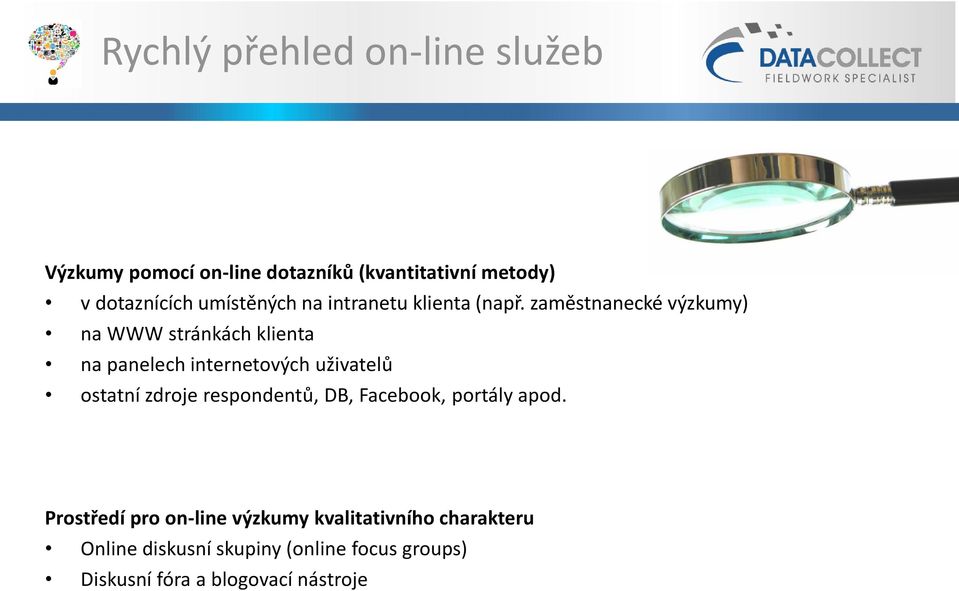 zaměstnanecké výzkumy) na WWW stránkách klienta na panelech internetových uživatelů ostatní zdroje