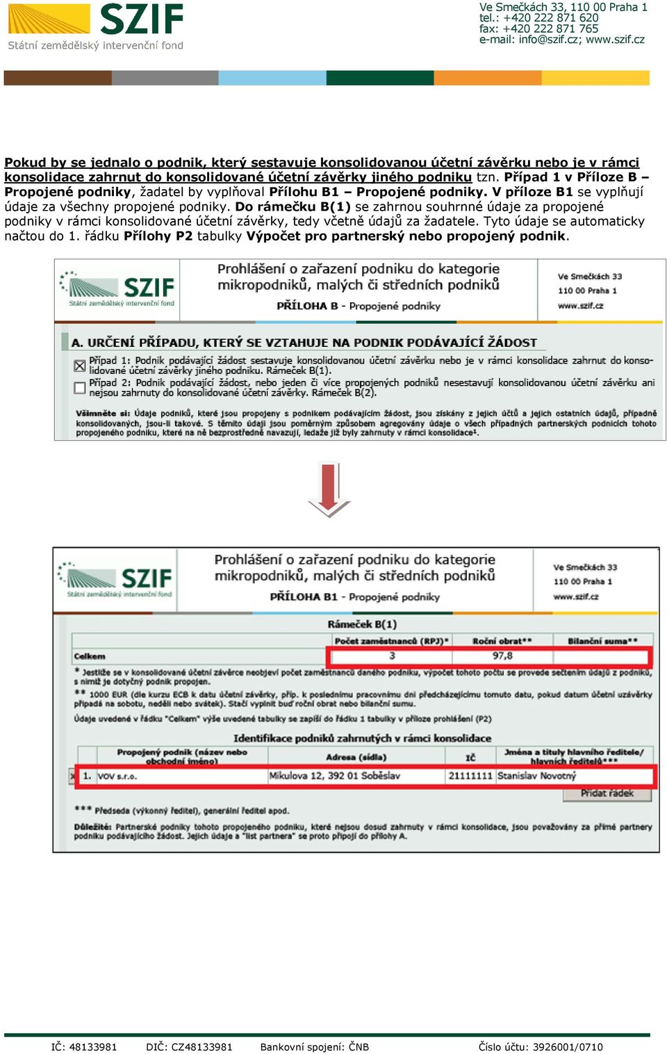 V příloze B1 se vyplňují údaje za všechny propojené podniky.