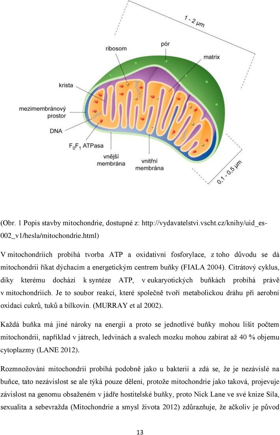 Citrátový cyklus, díky kterému dochází k syntéze ATP, v eukaryotických buňkách probíhá právě v mitochondriích.