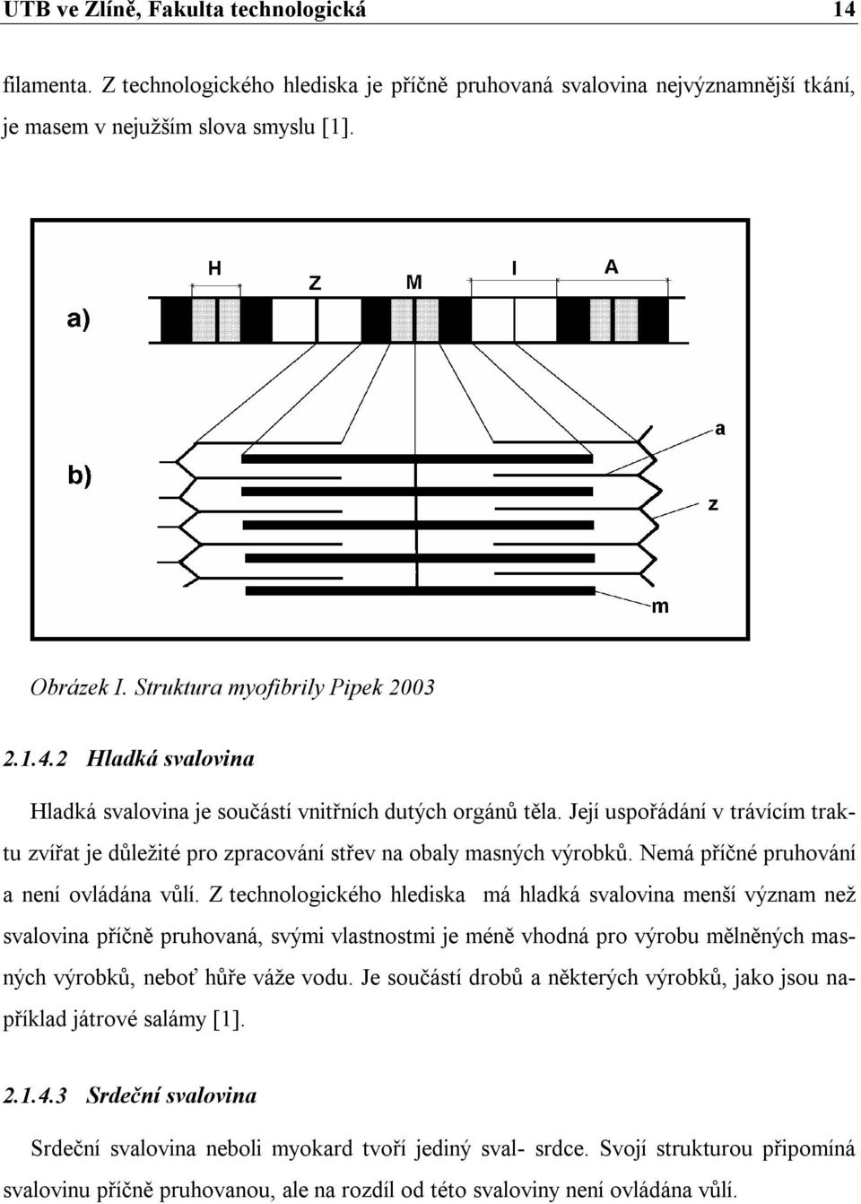 Její uspořádání v trávícím traktu zvířat je důležité pro zpracování střev na obaly masných výrobků. Nemá příčné pruhování a není ovládána vůlí.