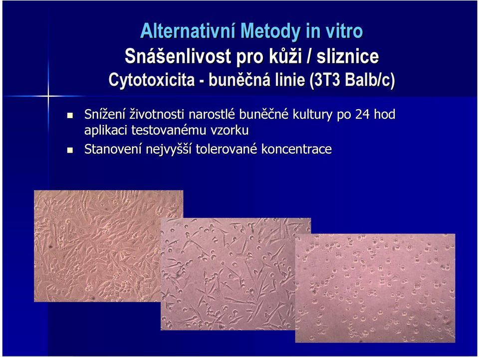Snížení životnosti narostlé buněčné kultury po 24 hod