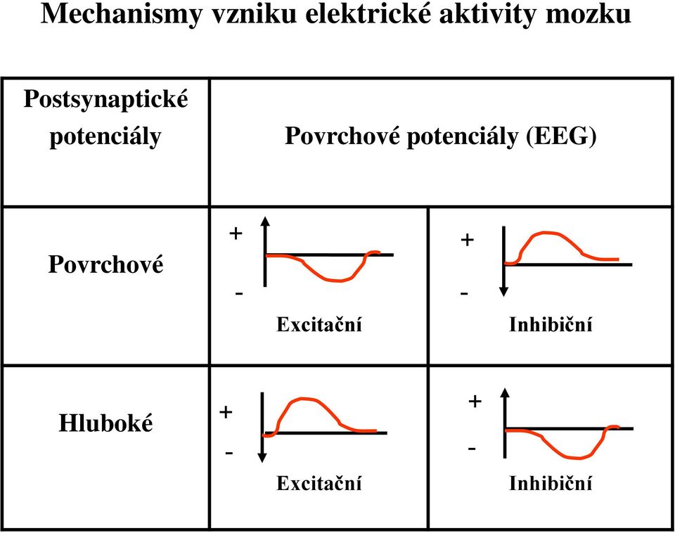 potenciály (EEG) Povrchové + - Excitační +