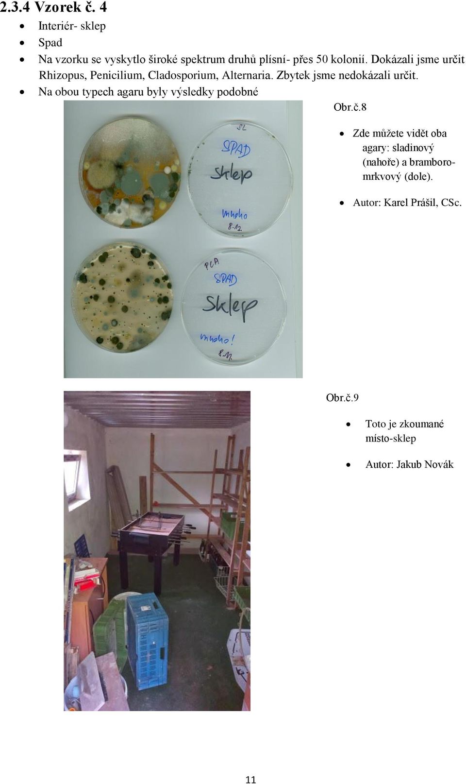 Dokázali jsme určit Rhizopus, Penicilium, Cladosporium, Alternaria. Zbytek jsme nedokázali určit.