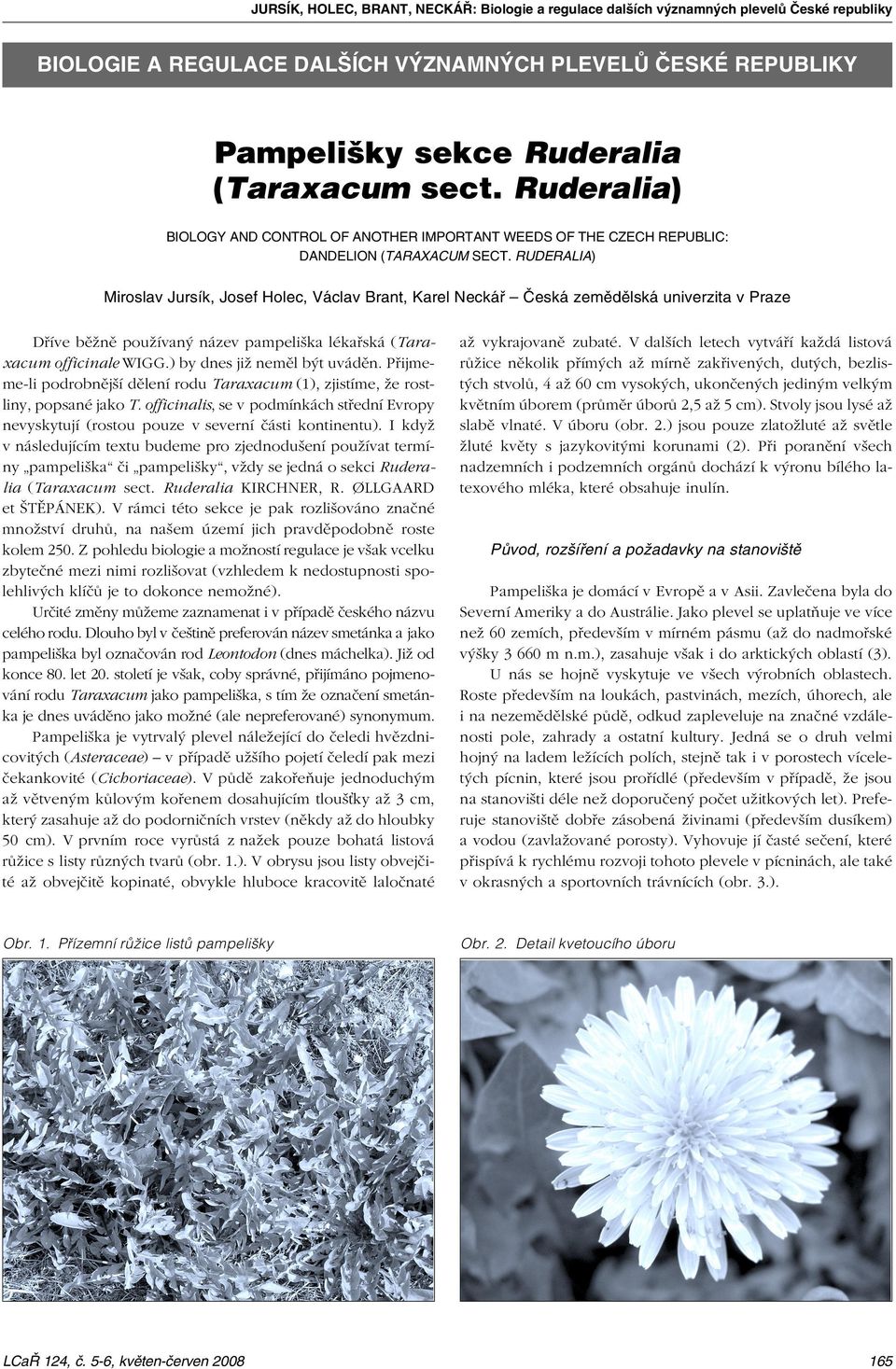 RUDERALIA) Miroslav Jursík, Josef Holec, Václav Brant, Karel Neckáø Èeská zemìdìlská univerzita v Praze Døíve bì nì pou ívaný název pampeli ka lékaøská (Taraxacum officinale WIGG.