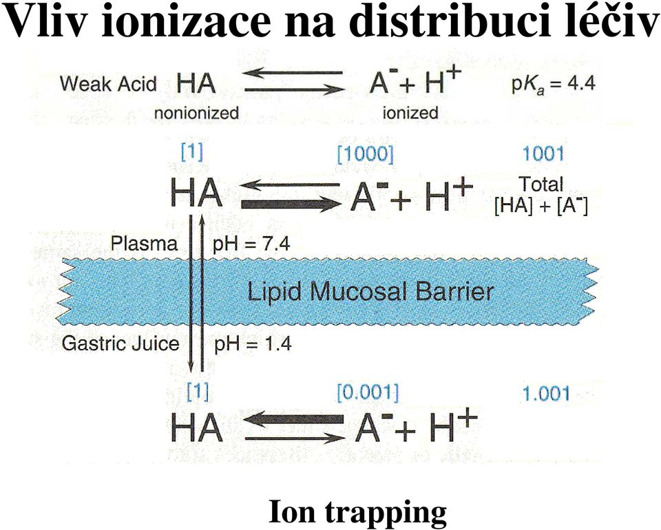 distribuci