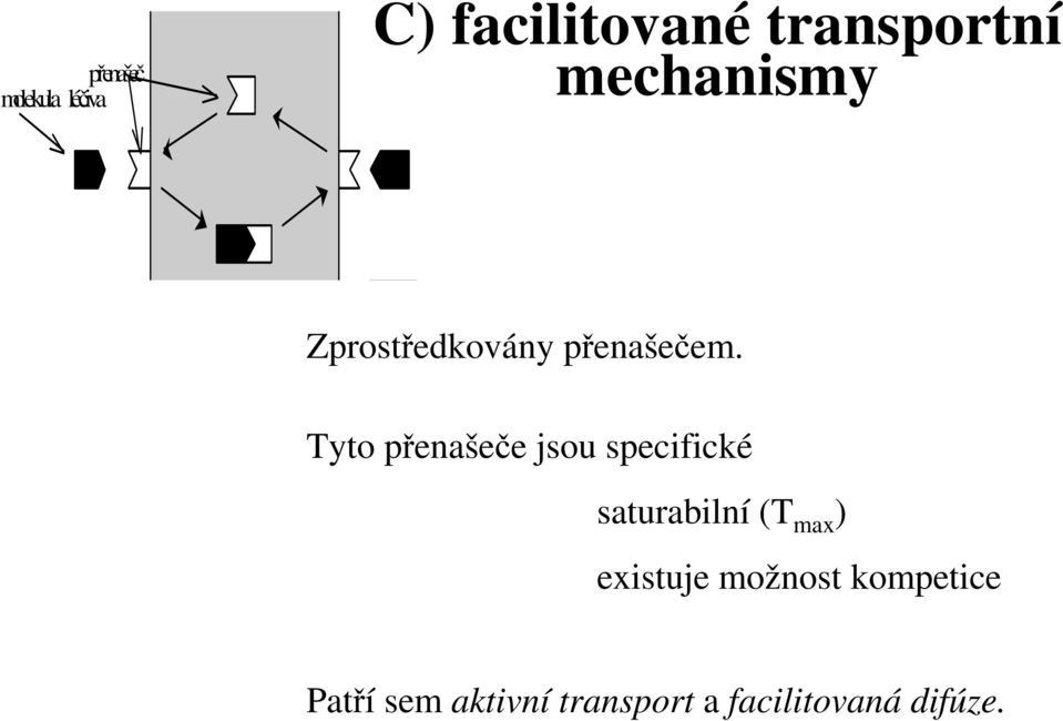 Tyto přenašeče jsou specifické saturabilní (T max )