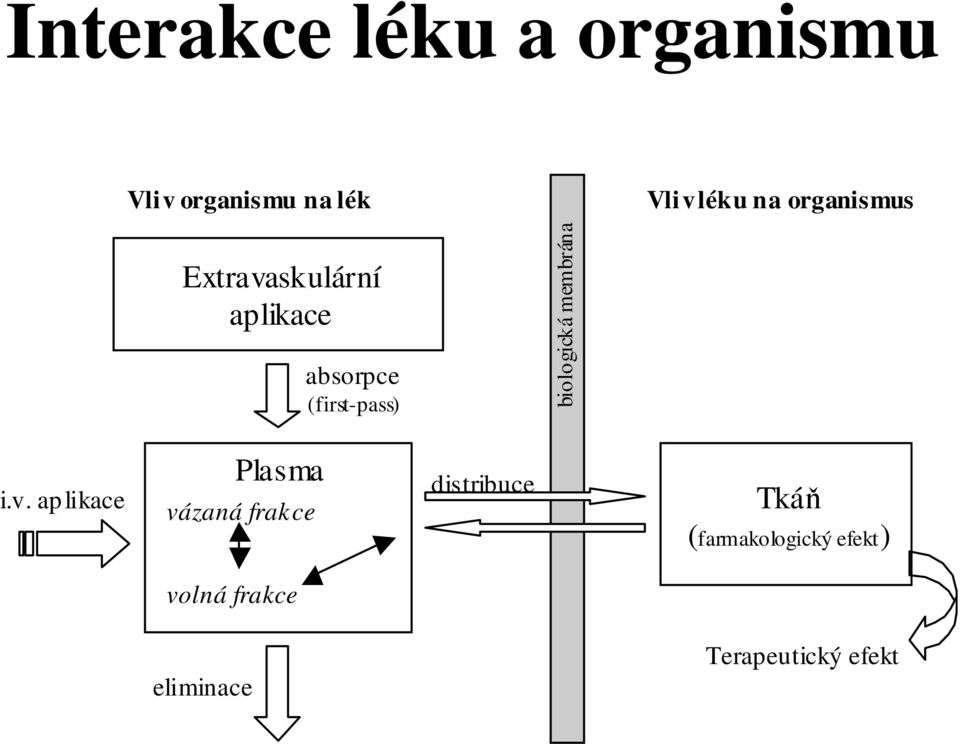 biologická membrána i.v.