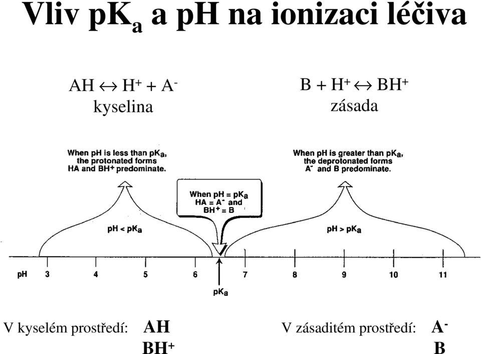 + zásada V kyselém prostředí: AH