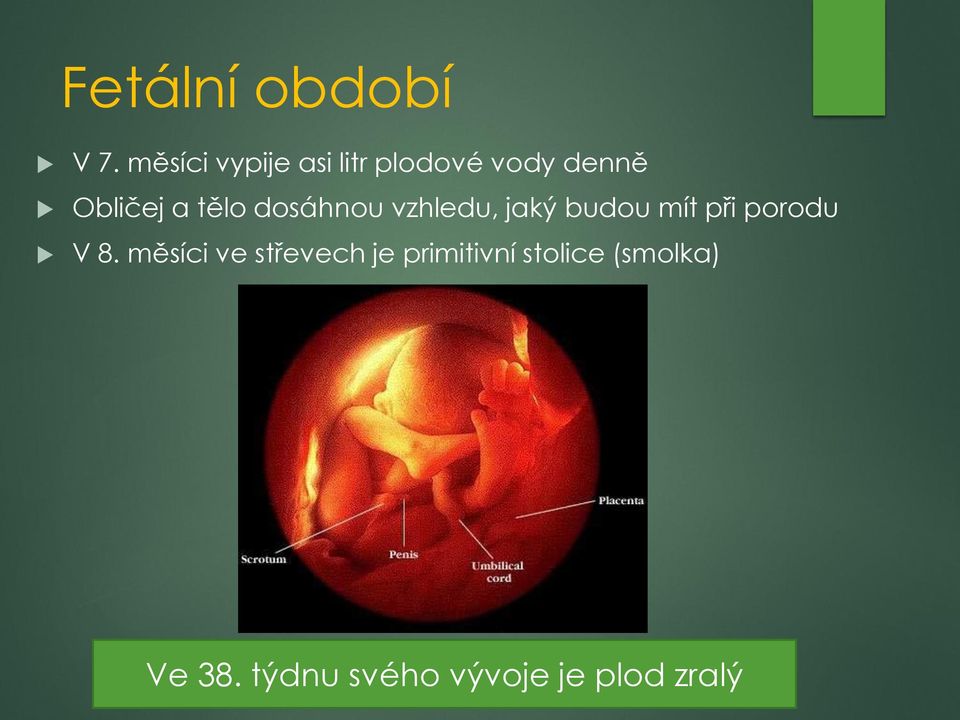 tělo dosáhnou vzhledu, jaký budou mít při porodu V 8.