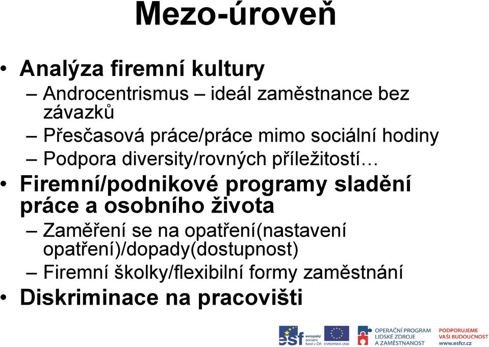 Firemní/podnikové programy sladění práce a osobního života Zaměření se na