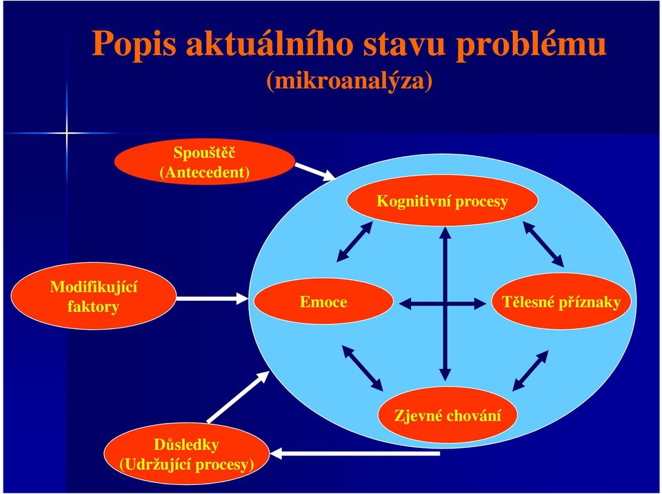 Kognitivní procesy Modifikující faktory