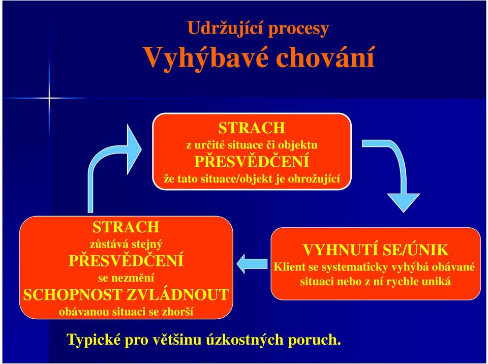 SCHOPNOST ZVLÁDNOUT obávanou situaci se zhorší VYHNUTÍ SE/ÚNIK Klient se