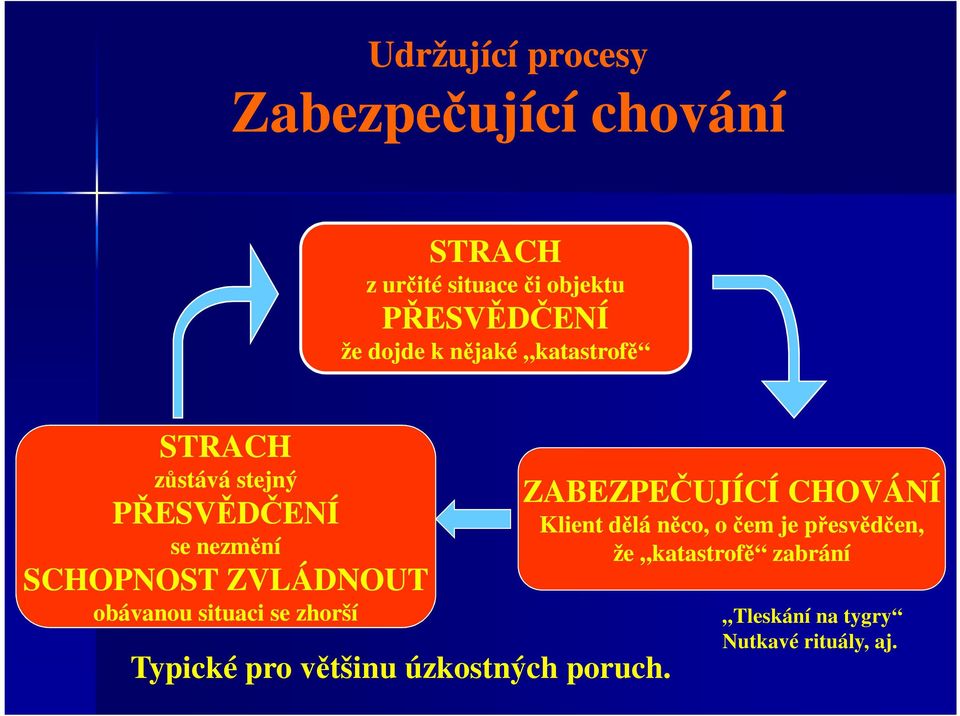 obávanou situaci se zhorší Typické pro většinu úzkostných poruch.