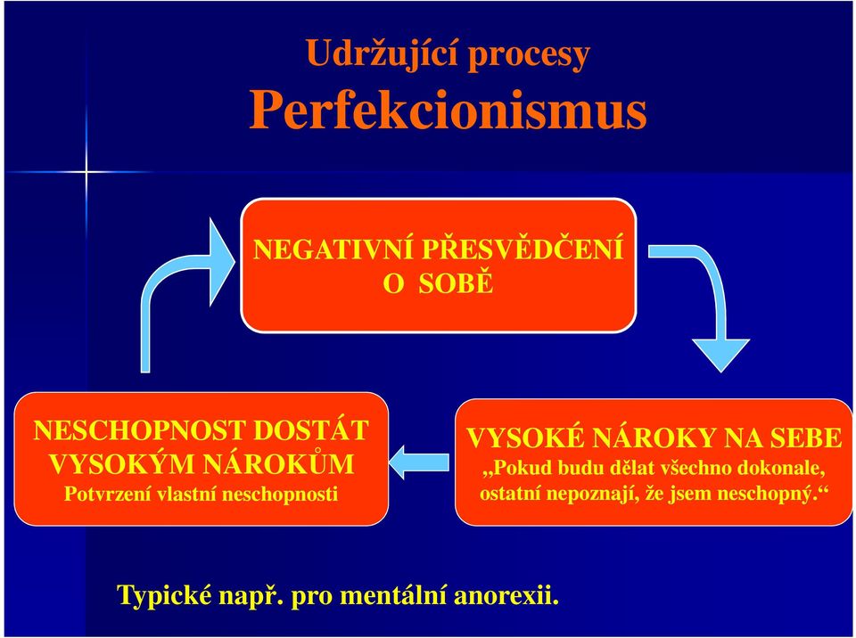 neschopnosti VYSOKÉ NÁROKY NA SEBE Pokud budu dělat všechno