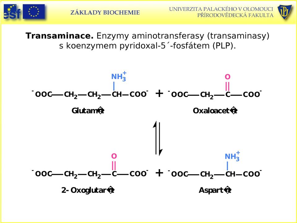 (transaminasy) s koenzymem pyridoxal5