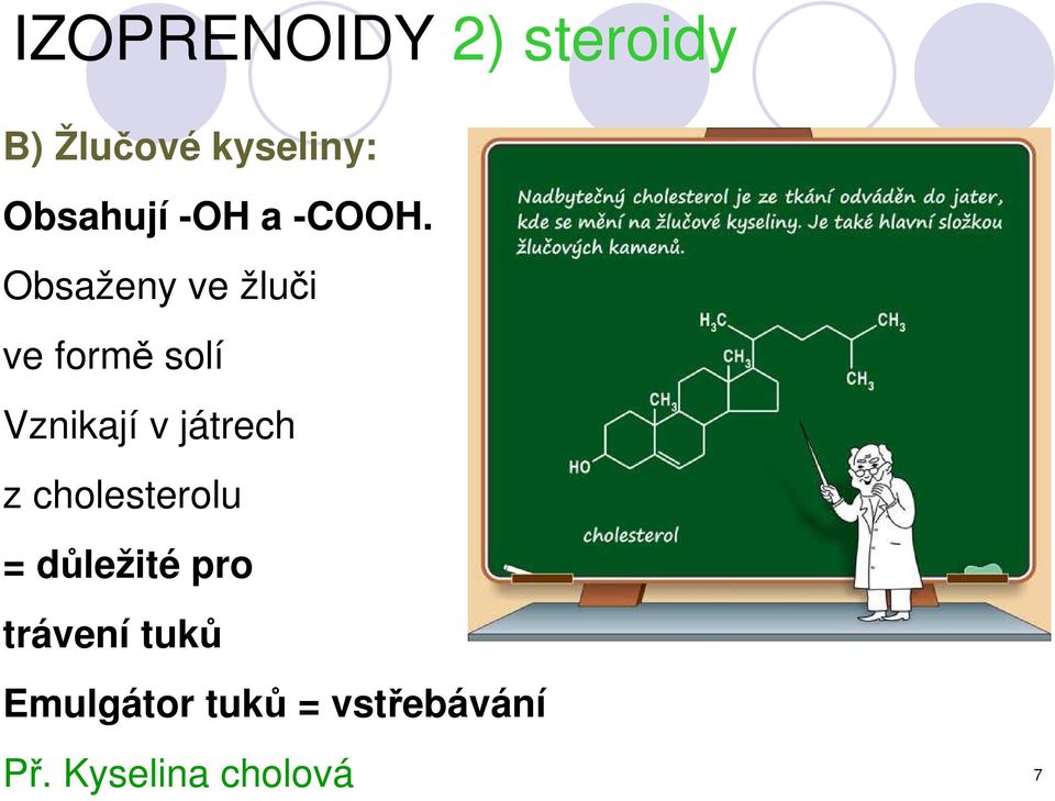 Obsaženy ve žluči ve formě solí Vznikají v játrech z