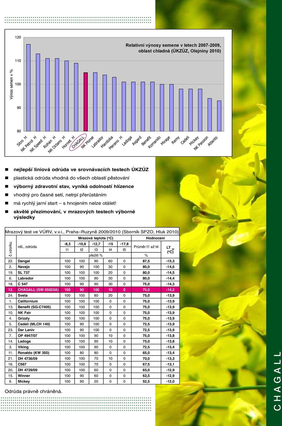 skvělé přezimování, v mrazových testech výborné výsledky Mrazový test ve VÚRV, v.v.i., Praha-Ruzyně 2009/2010 (Sborník SPZO, Hluk 2010) Mrazová teplota ( o C) Hodnocení č.