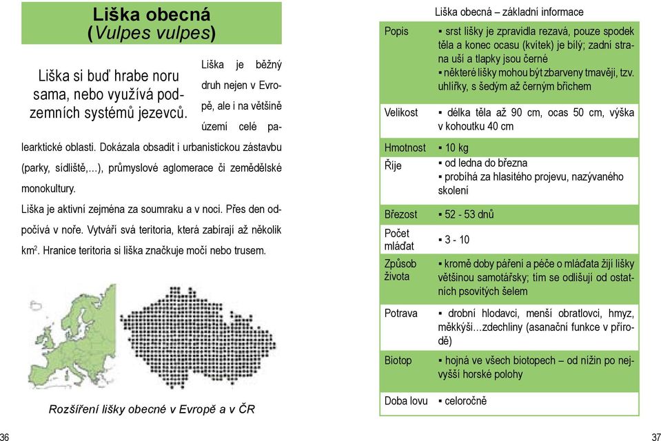 Vytváří svá teritoria, která zabírají až několik km 2. Hranice teritoria si liška značkuje močí nebo trusem.