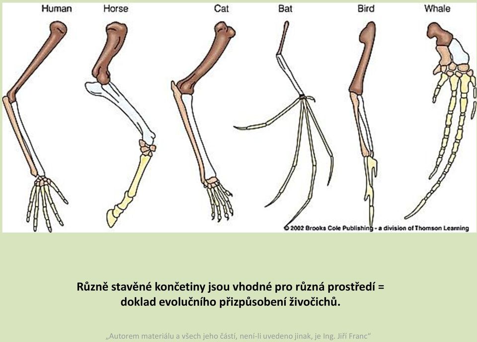 prostředí = doklad