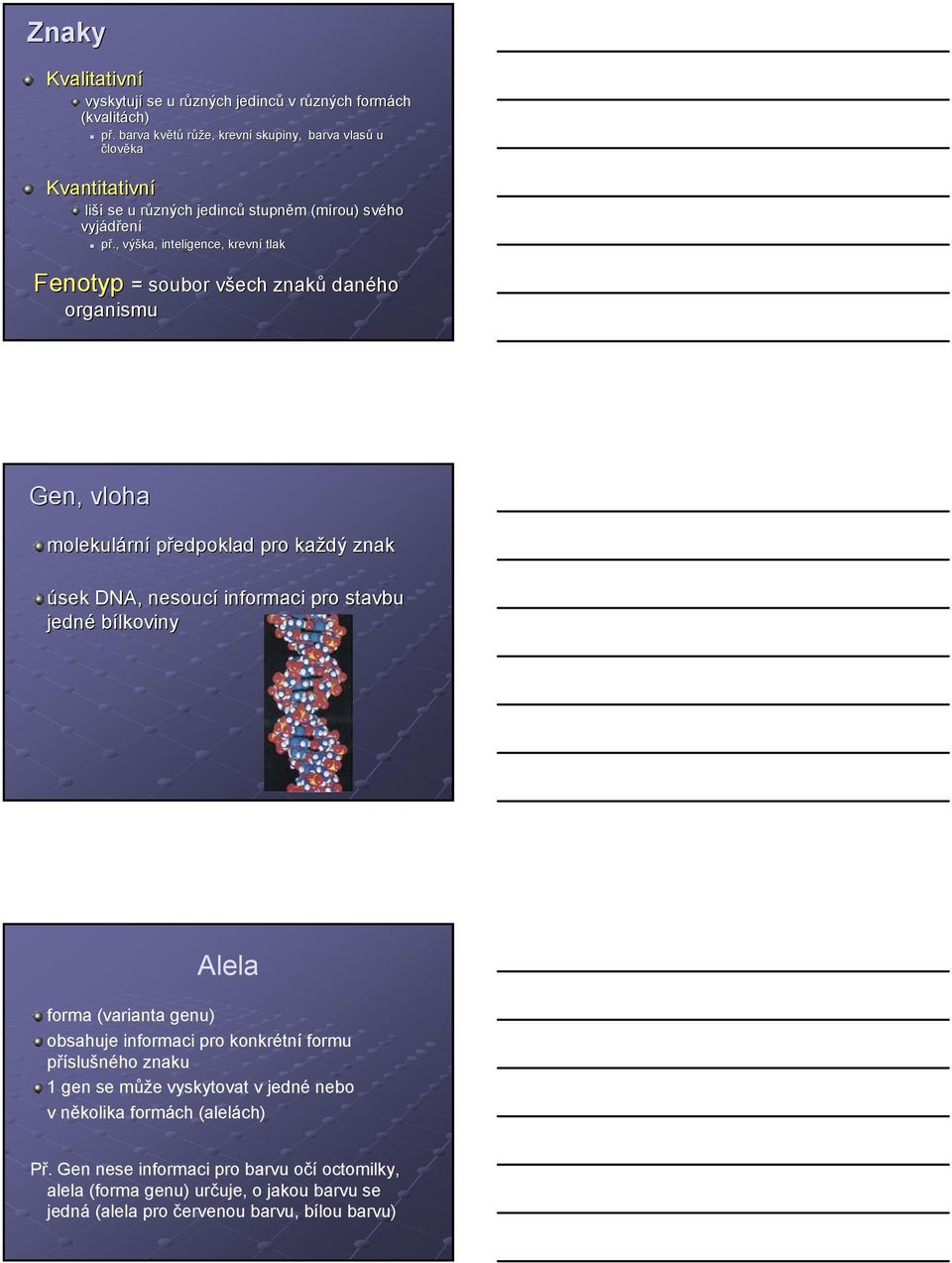 , výška, inteligence, krevní tlak Fenotyp = soubor všech v znaků daného organismu Gen, vloha molekulárn rní předpoklad pro každý znak úsek DNA, nesoucí informaci pro stavbu