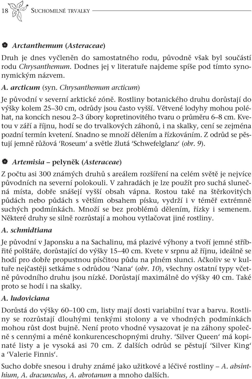 Rostliny botanického druhu dorůstají do výšky kolem 25 30 cm, odrůdy jsou často vyšší. Větvené lodyhy mohou poléhat, na koncích nesou 2 3 úbory kopretinovitého tvaru o průměru 6 8 cm.