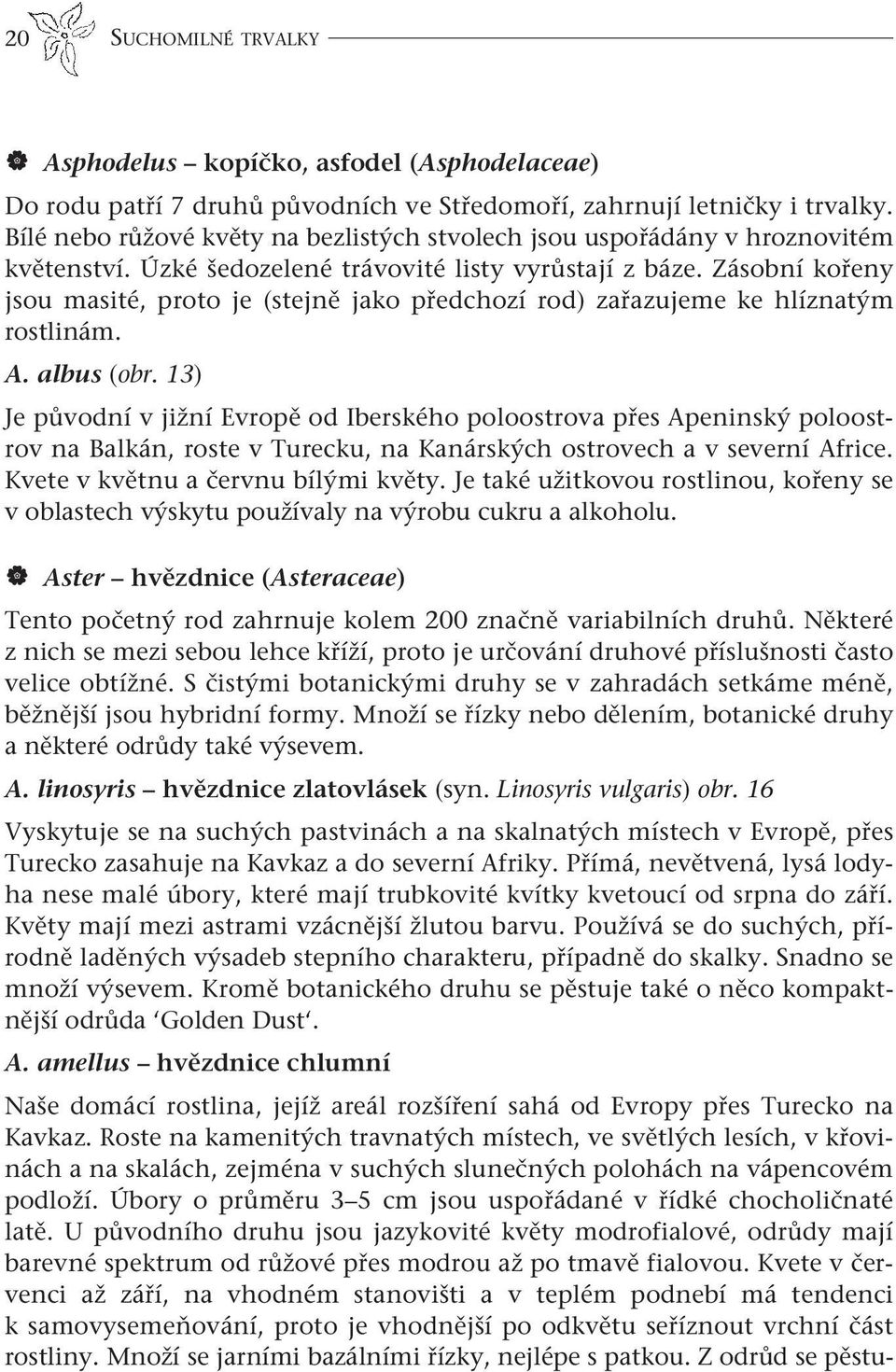 Zásobní kořeny jsou masité, proto je (stejně jako předchozí rod) zařazujeme ke hlíznatým rostlinám. A. albus (obr.