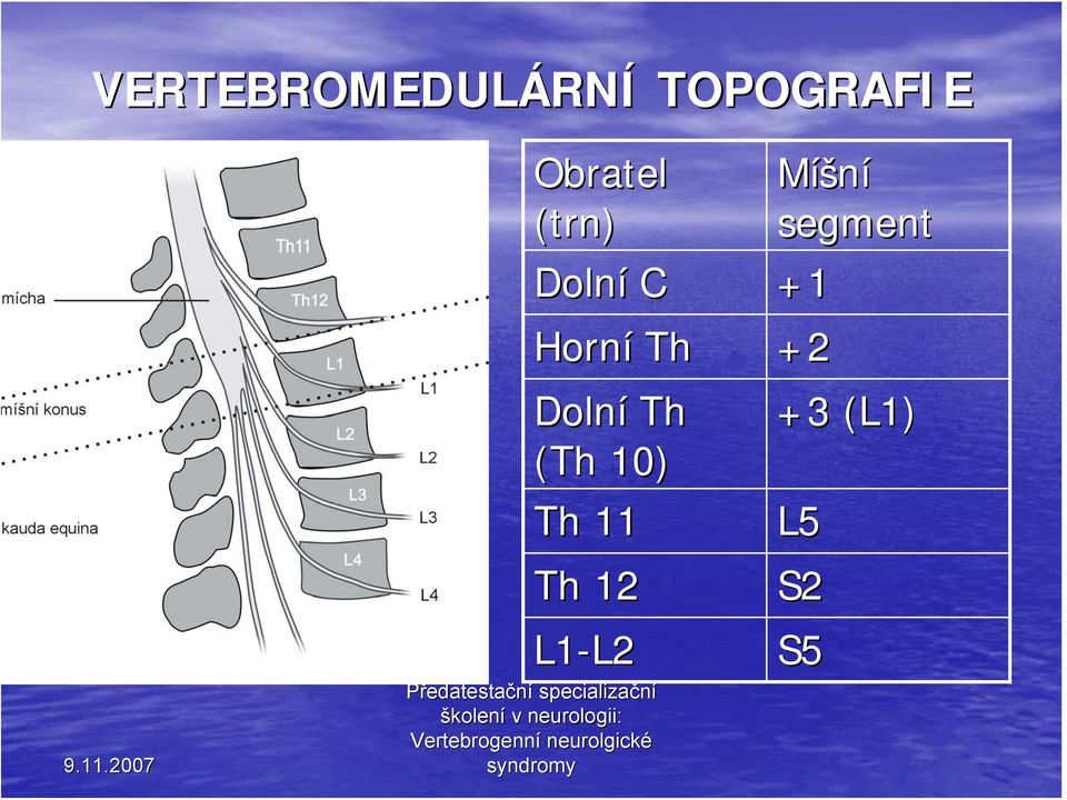 C +1 Horní Th +2 Dolní Th (Th 10)