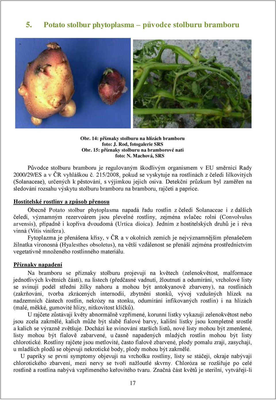 215/2008, pokud se vyskytuje na rostlinách z čeledi lilkovitých (Solanaceae), určených k pěstování, s výjimkou jejich osiva.