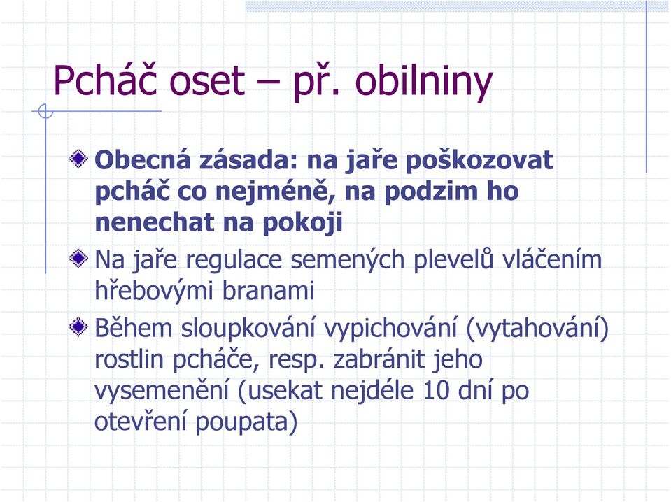 nenechat na pokoji Na jaře regulace semených plevelů vláčením hřebovými