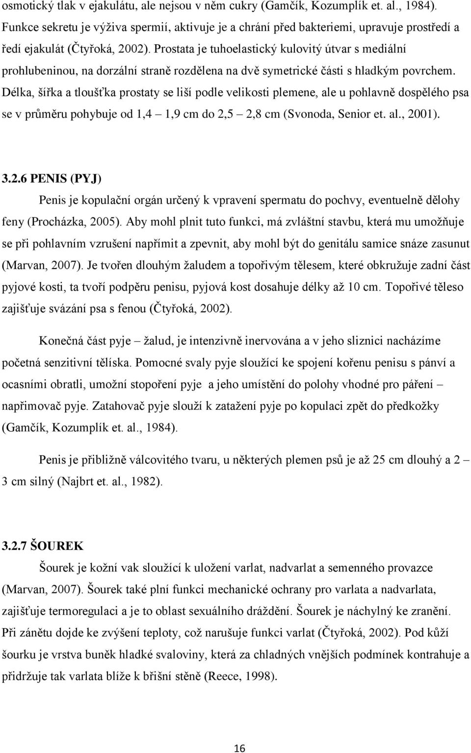 Prostata je tuhoelastický kulovitý útvar s mediální prohlubeninou, na dorzální straně rozdělena na dvě symetrické části s hladkým povrchem.