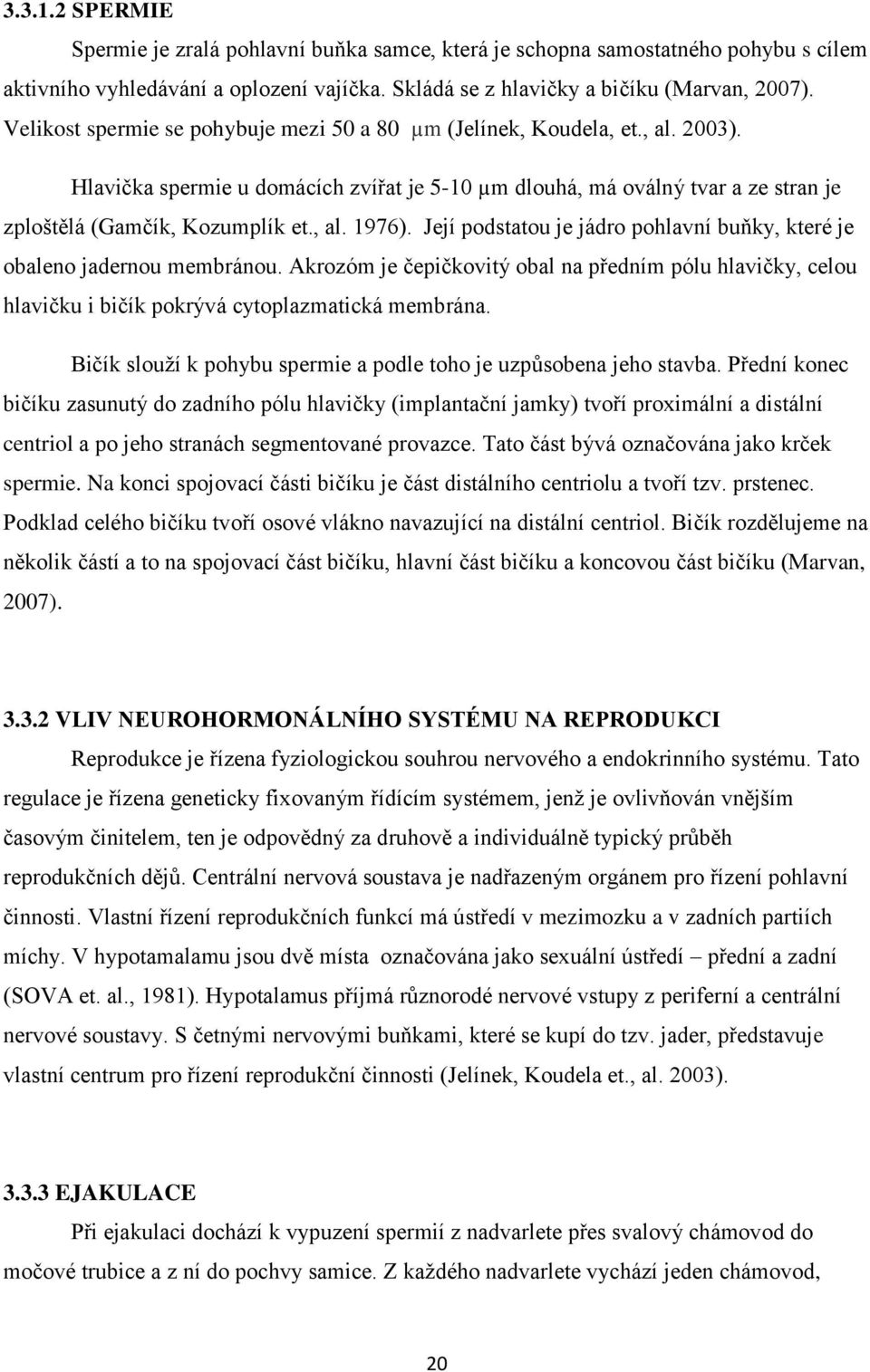 Její podstatou je jádro pohlavní buňky, které je obaleno jadernou membránou. Akrozóm je čepičkovitý obal na předním pólu hlavičky, celou hlavičku i bičík pokrývá cytoplazmatická membrána.