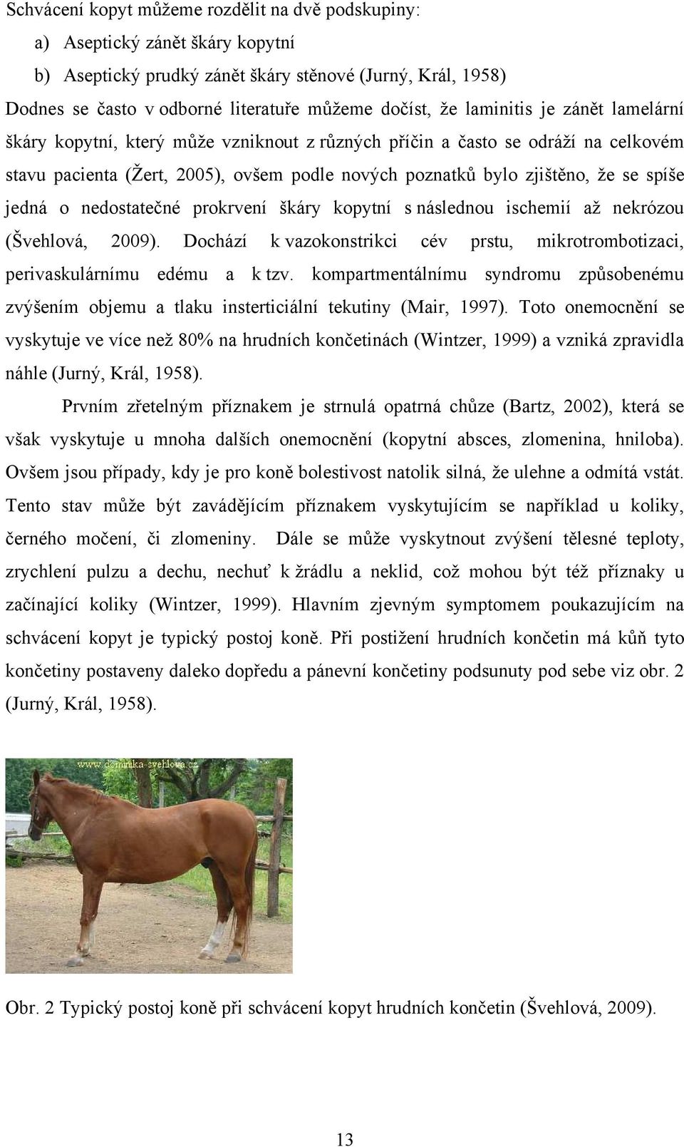 jedná o nedostatečné prokrvení škáry kopytní s následnou ischemií až nekrózou (Švehlová, 2009). Dochází k vazokonstrikci cév prstu, mikrotrombotizaci, perivaskulárnímu edému a k tzv.