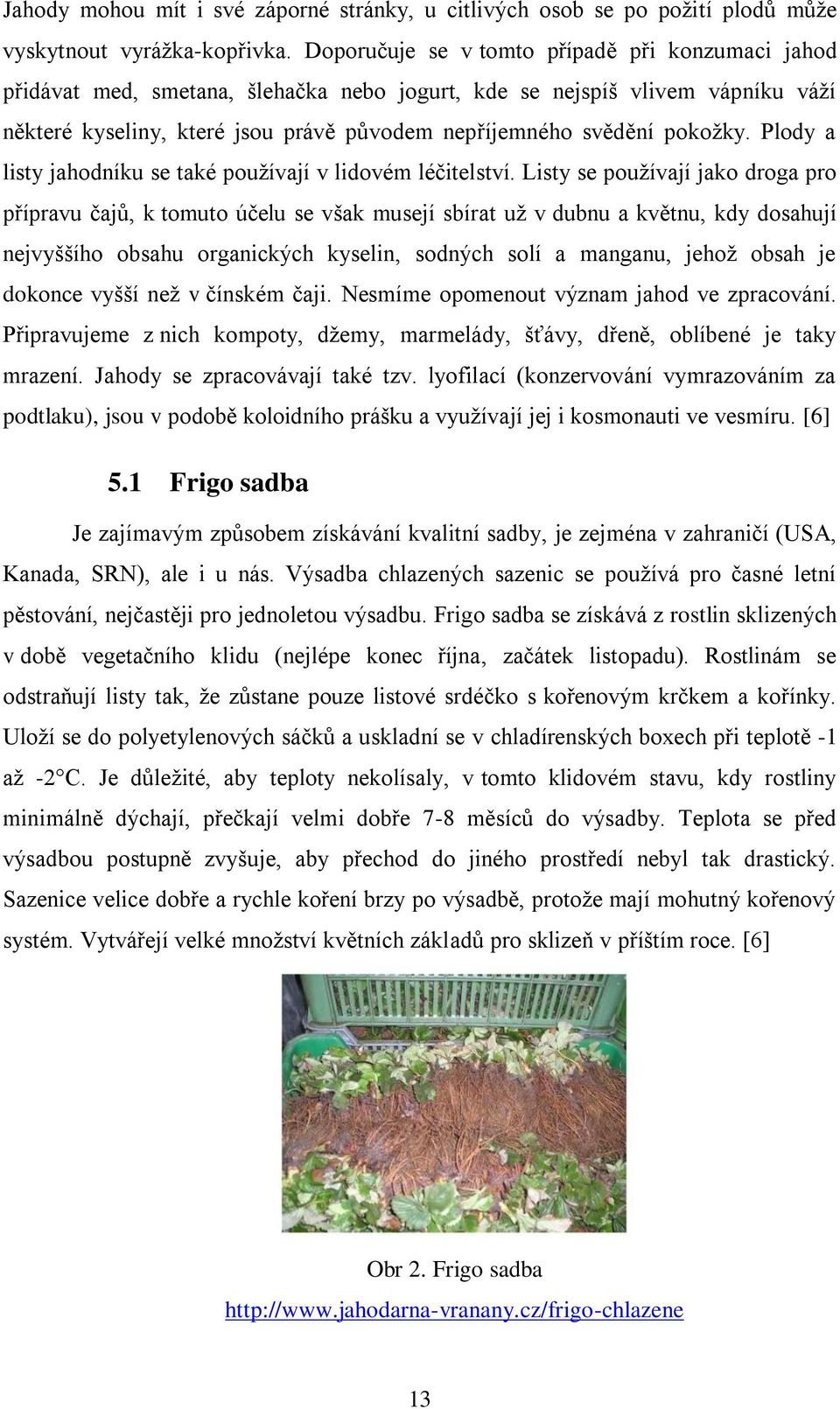 pokoţky. Plody a listy jahodníku se také pouţívají v lidovém léčitelství.