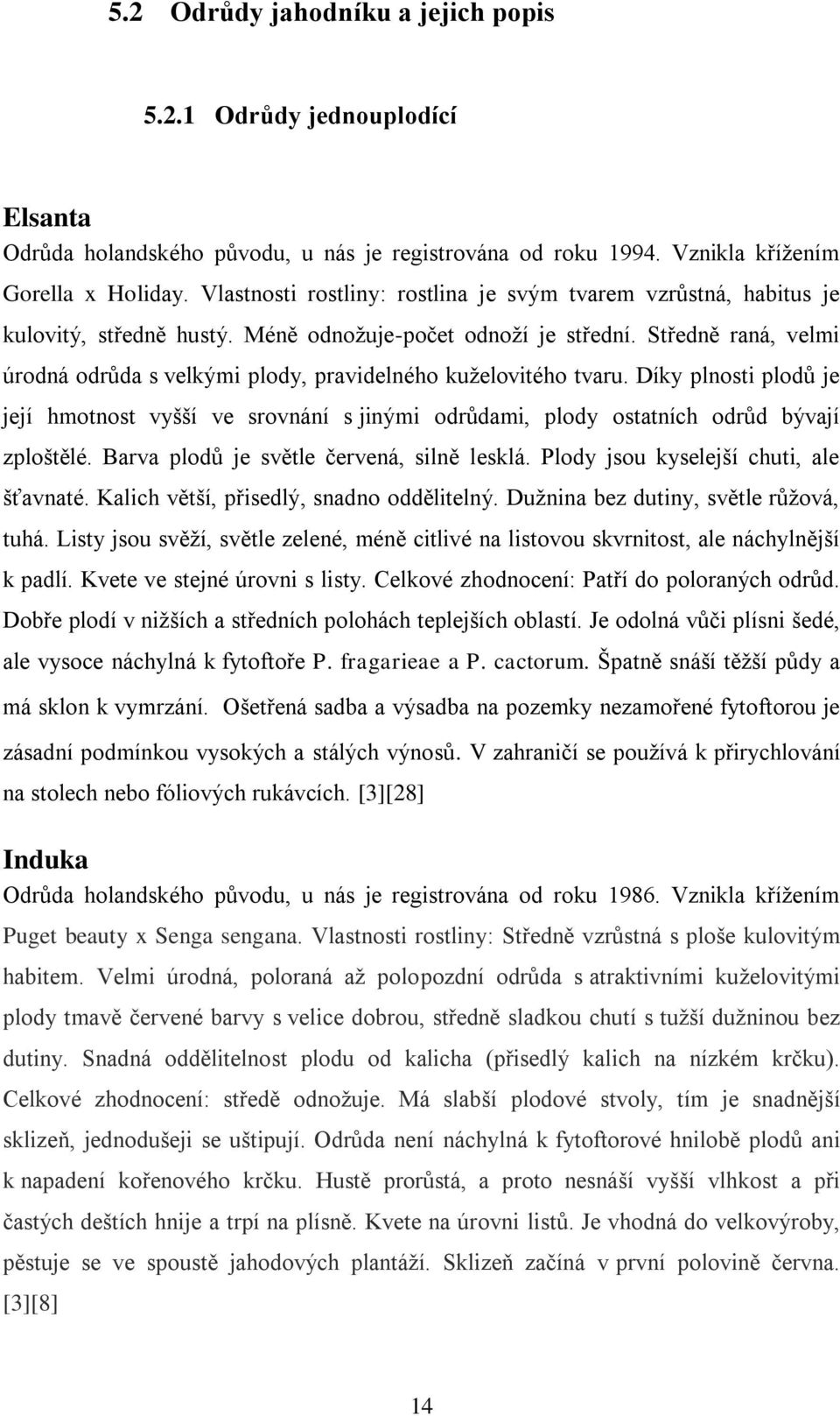 Středně raná, velmi úrodná odrůda s velkými plody, pravidelného kuţelovitého tvaru. Díky plnosti plodů je její hmotnost vyšší ve srovnání s jinými odrůdami, plody ostatních odrůd bývají zploštělé.