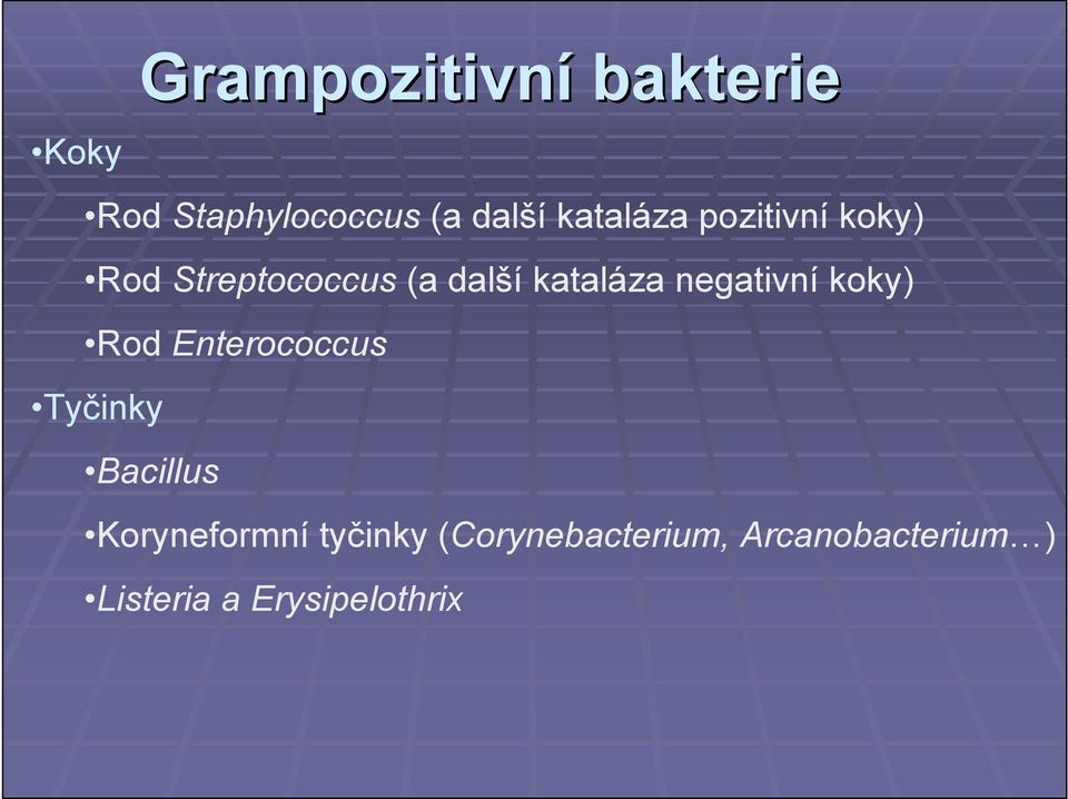 negativní koky) Rod Enterococcus Tyčinky Bacillus Koryneformní