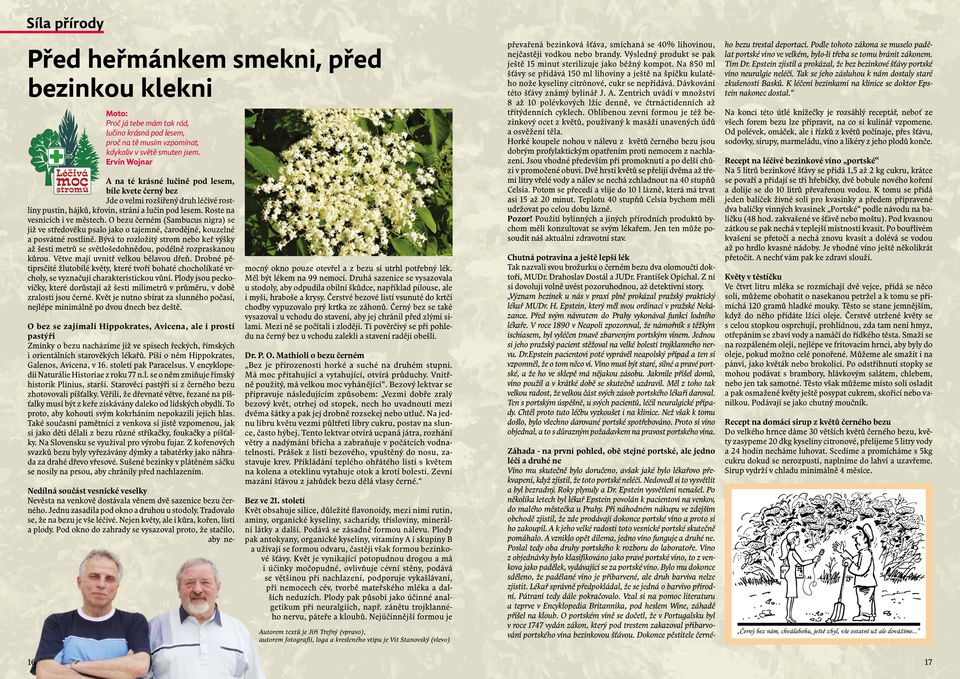 O bezu černém (Sambucus nigra) se již ve středověku psalo jako o tajemné, čarodějné, kouzelné a posvátné rostlině.