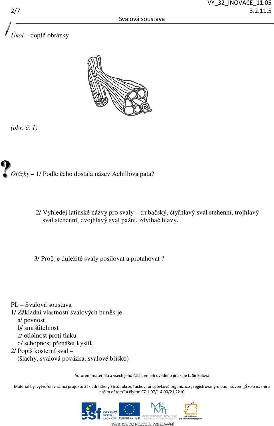 pažní, zdvihač hlavy. 3/ Proč je důležité svaly posilovat a protahovat?