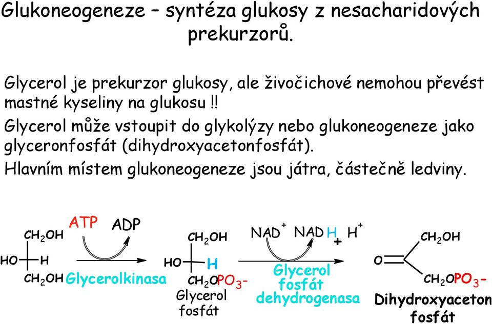 ! Glycerol může vstoupit do glykolýzy nebo glukoneogeneze jako glyceronfosfát (dihydroxyacetonfosfát).